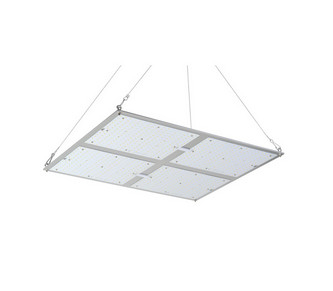 Kweekt de Rikolite400w Hydroponic Installatie Licht Hoge Machts Volledig Spectrum