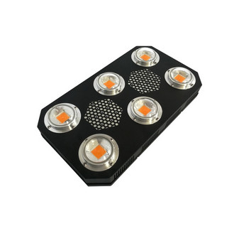 Geleide Installatie van het RikoLite300w kweekt de Volledige Spectrum Lichten voor het Kweken van Installaties