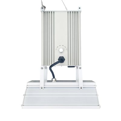 112000lm VERBORG LEIDENE Lichten, kweekt het Natrium van 750W Horticultral HPS Lichten