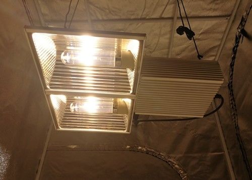 580µmol/s 164ft CMH kweken Lichten Volledig Spectrum 630W
