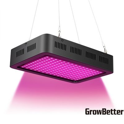 Leiden van AC85V 500mA SMD groeien Licht, kweken 4.5m2 1000w Lichten Binneninstallaties
