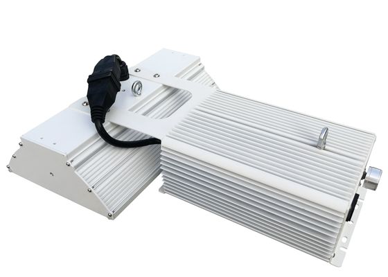 VERBORG 110V 115lm/W Met twee uiteinden kweken Lichten750w Installatie het Groeien voor Medische Marihuana