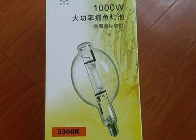 110000 Lumen van 8000hours kweken de Vissersboot Geleide Vervanging van de Lampbol 1000w