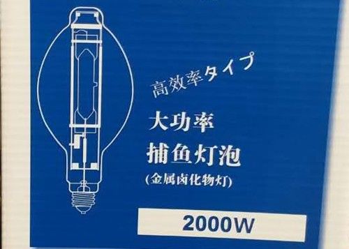 De Lamp van de Bolvissen van BT220 2000w MH VERBORG de Pijlinktvis van het Metaalhalogenide Visserijlamp