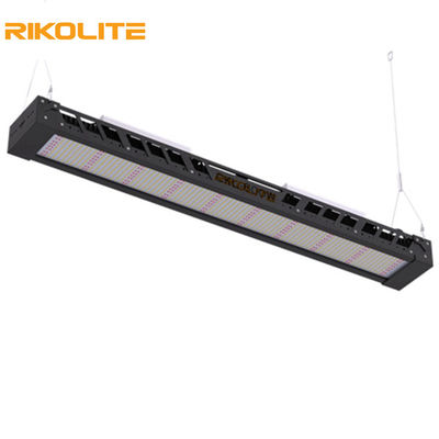Kweekt het Volledige Spectrum van SMD3030 IP65 300w Lichten, 1450umol/s Geleide Lichte Barinrichting