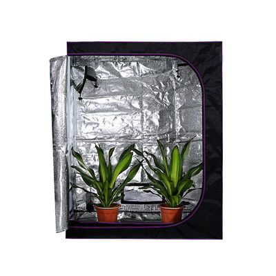 Hydroponic PVEA kweekt Tent, Verspreide de Tentuitrusting van de het Patroon Binneninstallatie van 4X2“ Lychee