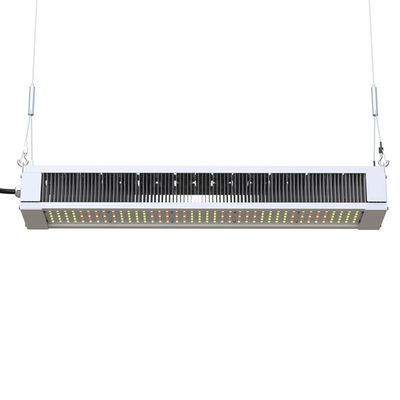 Leiden van het RikoLite240w kweken Volledige Spectrum Lichte Slanke Bar, AL1100-kweken Tuinbouwleiden Lichten