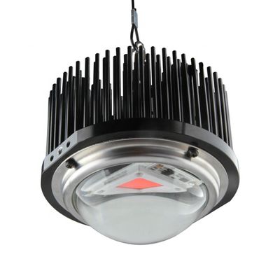 50W DOB Geleid Eigengemaakt kweekt Lichten, kweekt het Maïskolf1m2 Volledige Spectrum Lichte Uitrustingen