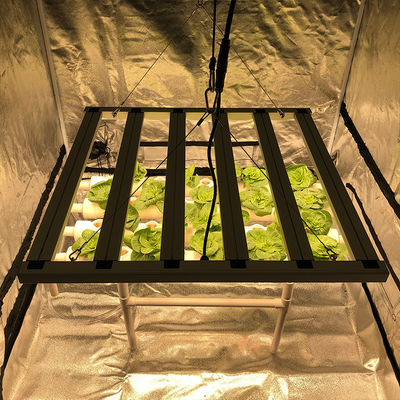 Geleide Tuinbouw 35 kweekt Celsius de Lichtenbar van de Lichten480w 6 Pijler 2.6μMol/J
