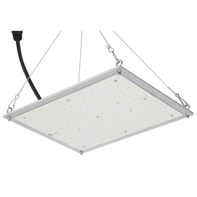 Geleide RikoLite100w 277vac de Hydrocultuur kweekt Lichten Quantumraad 167.3umol/S