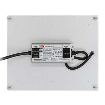 Geleide RikoLite100w 277vac de Hydrocultuur kweekt Lichten Quantumraad 167.3umol/S