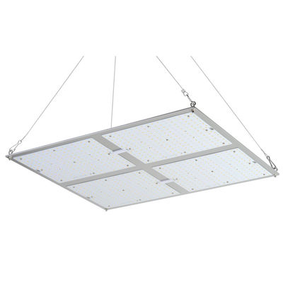 Geleide kweekt de Rikolite400w Hoge Macht Lichten, 149.6m/W Hydroponic Installatie Licht kweekt