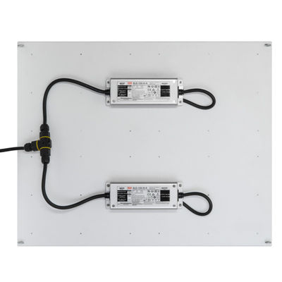 Geleide kweekt de Rikolite400w Hoge Macht Lichten, 149.6m/W Hydroponic Installatie Licht kweekt