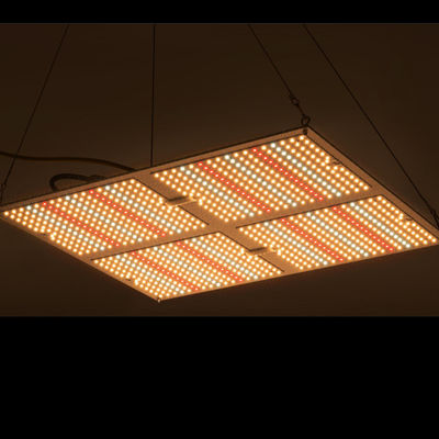 Geleide kweekt de Rikolite400w Hoge Macht Lichten, 149.6m/W Hydroponic Installatie Licht kweekt