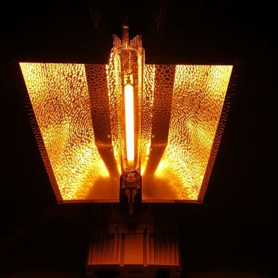 1000W HPS Met twee uiteinden kweken de Verlichtingsoplossing 2100umol/s van de Lichtenafstandsbediening