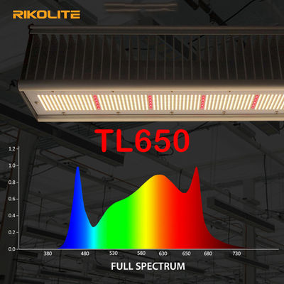 TL650 Geleide PARI1755umol/s de Serre kweekt Lichten 630W voor Veg/Bloem