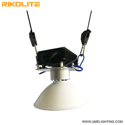 Van de Installatie Groeiende Lichten van G12cmh 150w Geleide van de Zaailingsvegging Hoge de Opbrengstverlichting