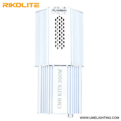 500W 900umol/s 265VAC CMH kweken Lichte 208-277V met 3000K-Bol