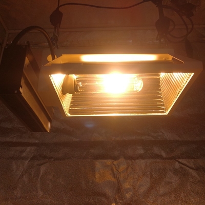 Het luchtpari plus Horizontale CMH 150W kweekt Lichte Inrichting voor 2X2 kweekt Tent