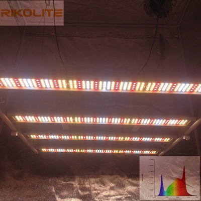 Melkweg2835smd LEIDENE 240W 4 Bars Vouwbare Installatie kweken Lichten 0 - 10V Dimmable