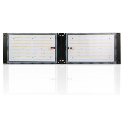 De waterdichte IP65-Quantumraad HOOFD van Herb Grow Light 240W SAMSUNG voor Landbouw