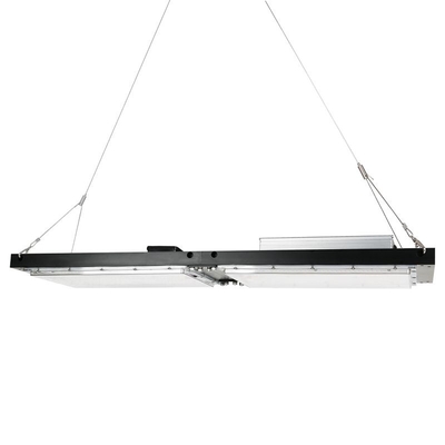 De waterdichte IP65-Quantumraad HOOFD van Herb Grow Light 240W SAMSUNG voor Landbouw