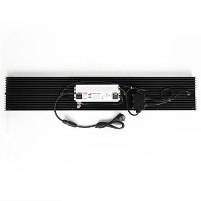 Kweken hydrocultuur Quantumleiden Lichtenip65 320w Volledig Spectrum voor Groente