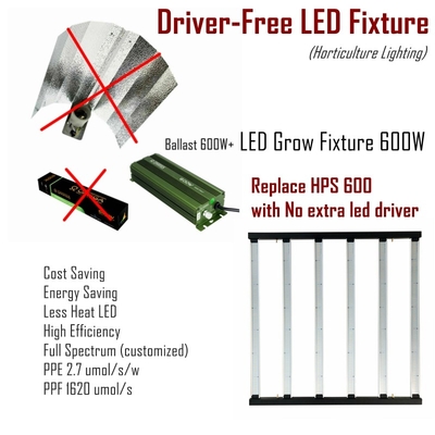 Leiden van bestuurdersfree full spectrum kweken Lichten600w Ballast Compatibel voor Landbouw