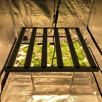 Leiden van bestuurdersfree full spectrum kweken Lichten600w Ballast Compatibel voor Landbouw