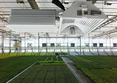 1050µMol/S VERBORG leiden kweken Lichten, 630W-Gewassen het Ceramische Metaalhalogenide Licht kweekt