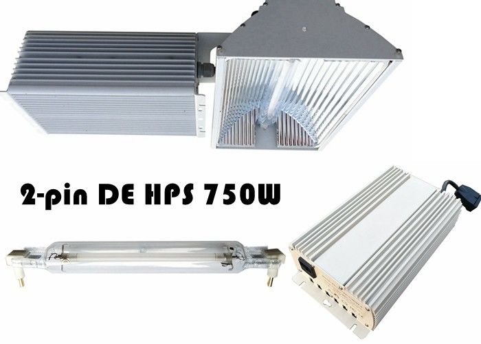 VERBORG 110V 115lm/W Met twee uiteinden kweken Lichten750w Installatie het Groeien voor Medische Marihuana