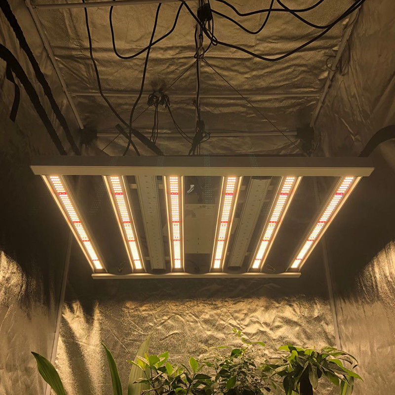 Geleide Tuinbouw 35 kweekt Celsius de Lichtenbar van de Lichten480w 6 Pijler 2.6μMol/J