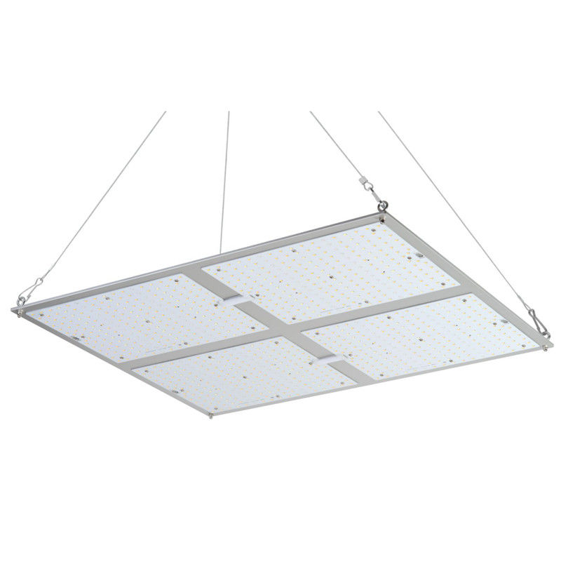 Geleide kweekt de Rikolite400w Hoge Macht Lichten, 149.6m/W Hydroponic Installatie Licht kweekt